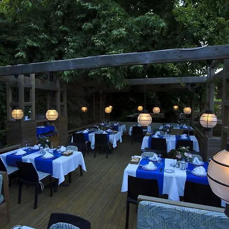 אתר נופש Garden